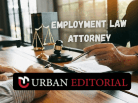 Employment Law Attorney