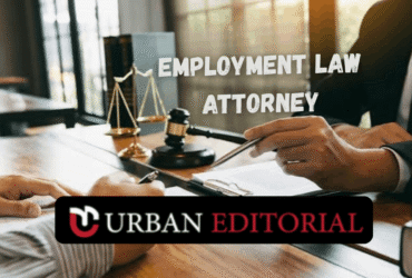 Employment Law Attorney