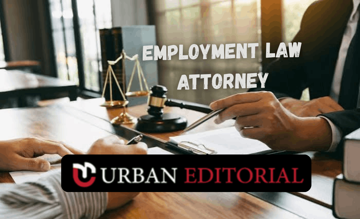 Employment Law Attorney